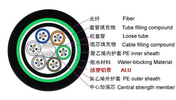 新奥门49