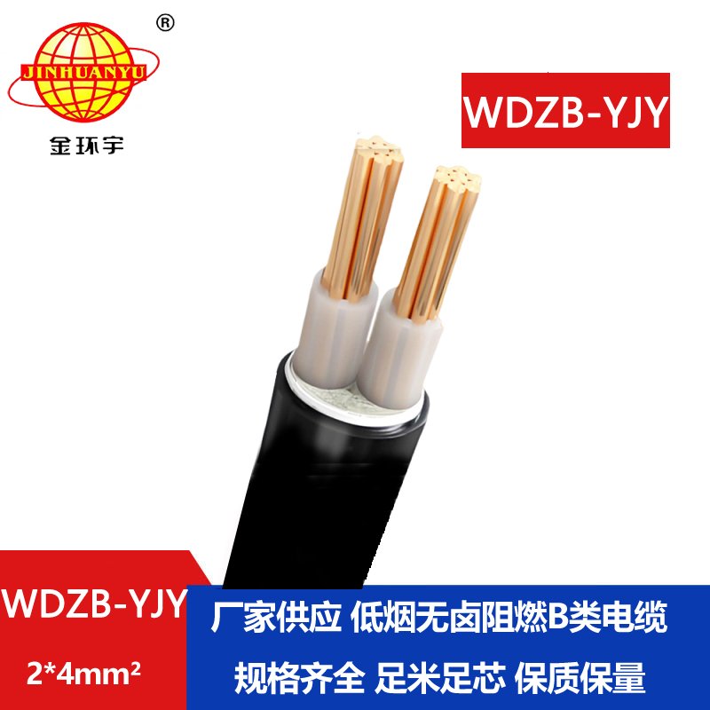 金环宇电线电缆 低烟无卤阻燃电缆 WDZB-YJY 2X4深圳