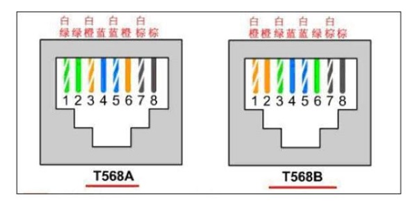 新奥门49